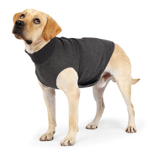 Emotional Comfort Cotton Polyester Pet Double Layer Jacket - A Must-Have for Your Furry Friend