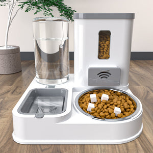 The Ultimate Pet Feeding And Drinking Station Bowl