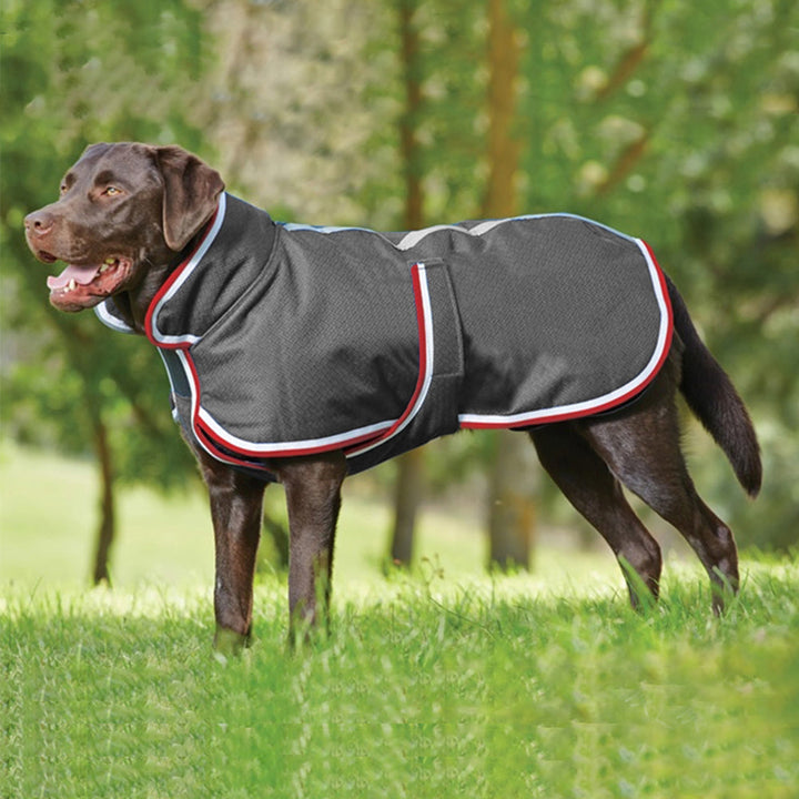 Keep Your Furry Friend Cozy This Autumn with Our Warm Waterproof Pet Jacket