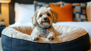 Choosing The Perfect Pet Bed